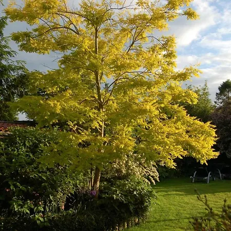 Urlaub Im Von Gaby Braun