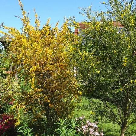 Urlaub Im Von Gaby Braun شقة *