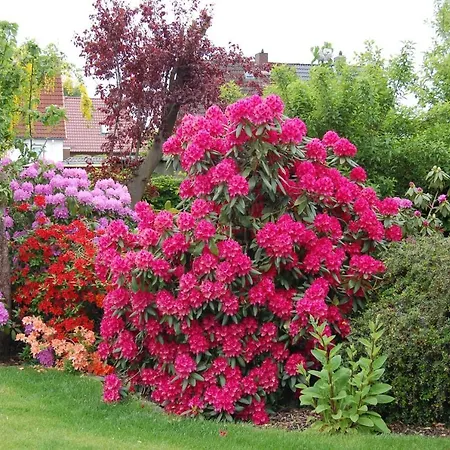 Urlaub Im Von Gaby Braun شقة *