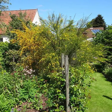 Urlaub Im Von Gaby Braun *