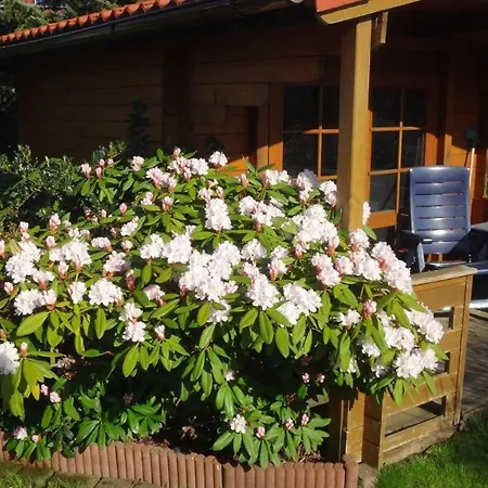 Urlaub Im Von Gaby Braun Apartamento *