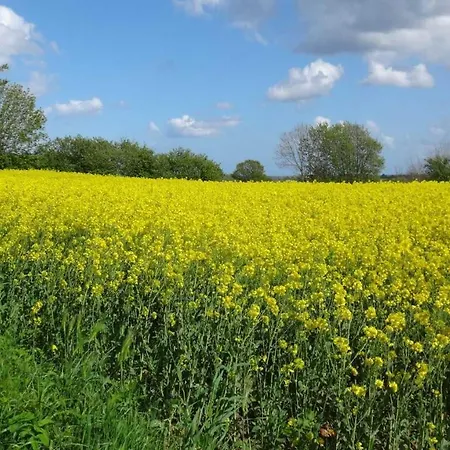 شقة Urlaub Im Von Gaby Braun
